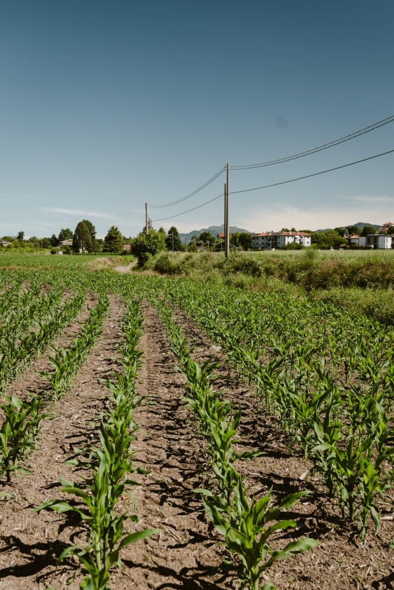 Cascina Baia del Re