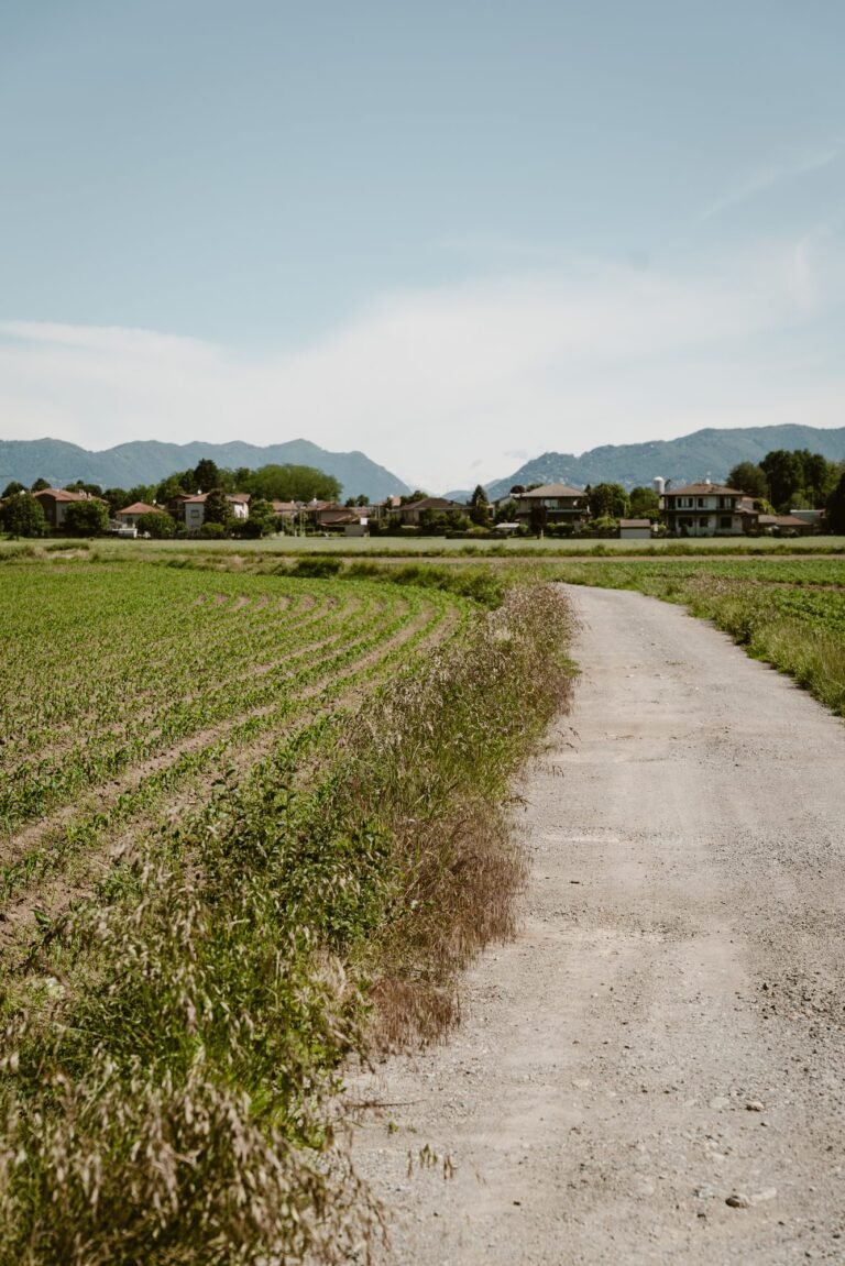 Cascina Baia del Re