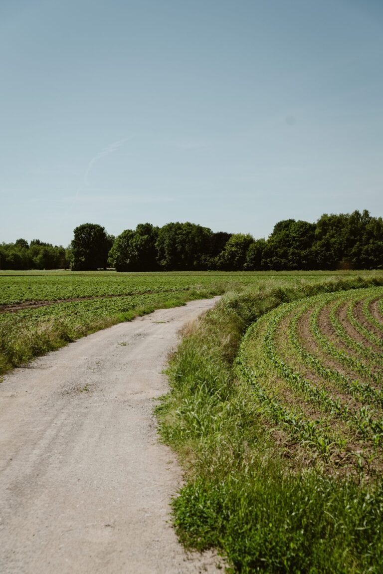 Cascina Baia del Re