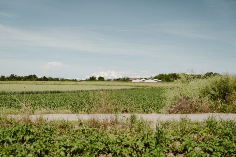 Cascina Baia del Re